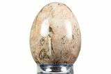 Polished Petrified Palm Root Egg - California #308878-1